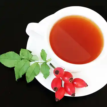 로즈힙