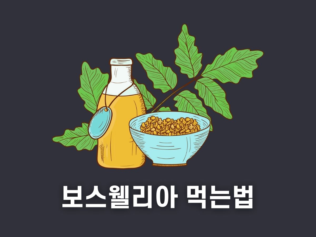 보스웰리아 먹는법