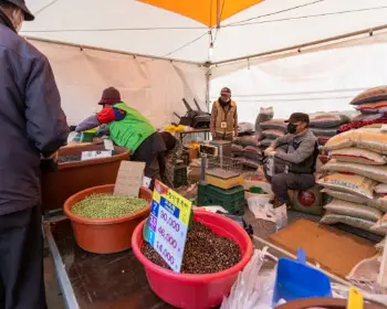 파주 장단콩축제_13