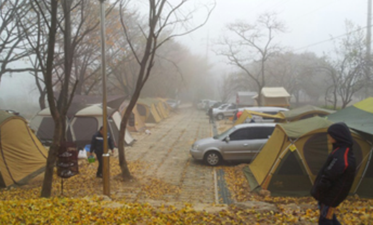 곡성 도림사 오토캠핑장