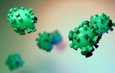 엠폭스-백신-관련주