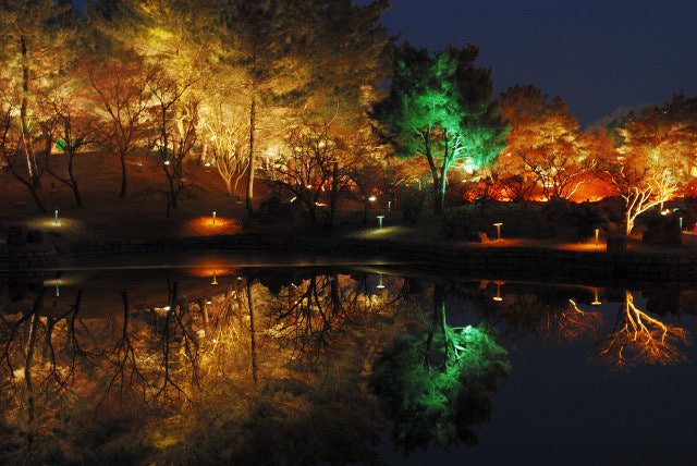 경북 단풍명소 TOP5 ❘ 가을 감성 가득한 산책 &middot; 여행 &middot; 드라이브 코스 추천 관련 사진