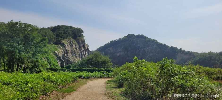 대부광산퇴적암층 가는방법