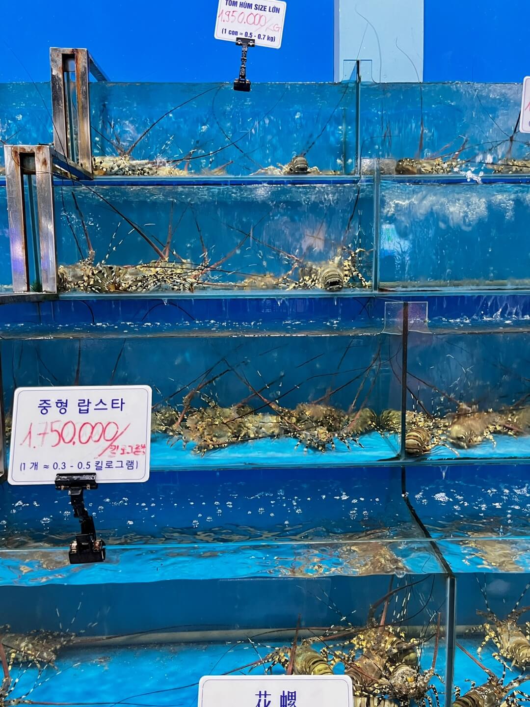 빈산레스토랑