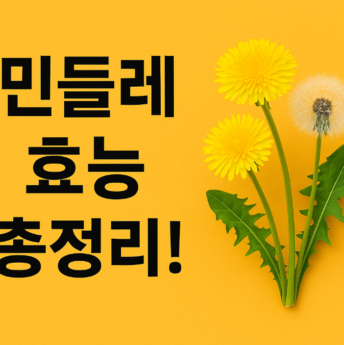 민들레 효능