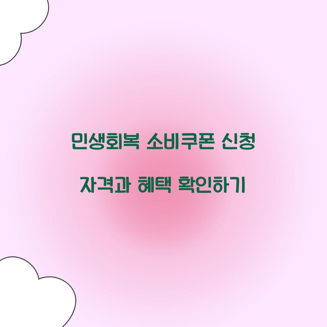 민생회복 소비쿠폰
