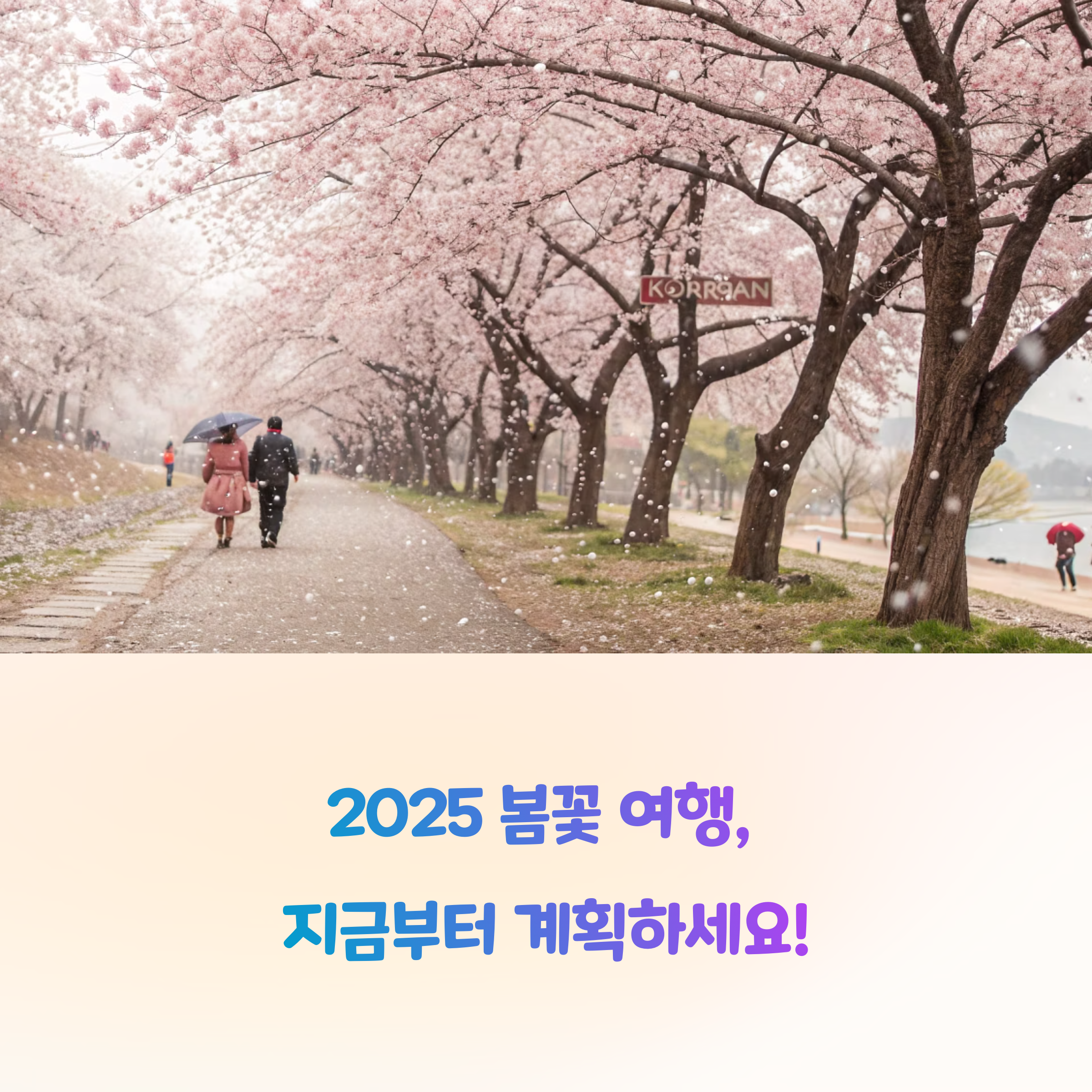 봄꽃 개화 예보만 보고 떠나는 감성 여행