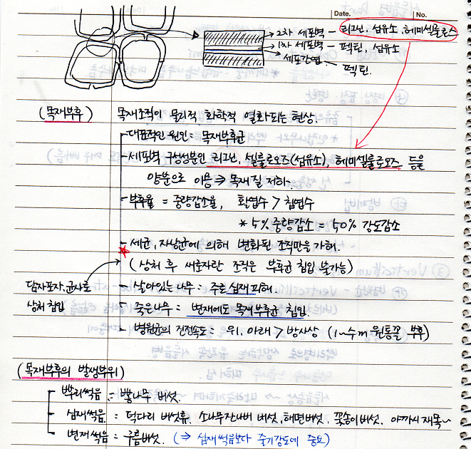 목재부후&#44; 목재부후의 발생부위