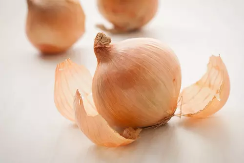 양파 껍질
