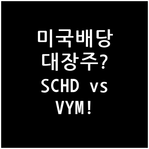 미국 배당 ETF 비교 SCHD VY..