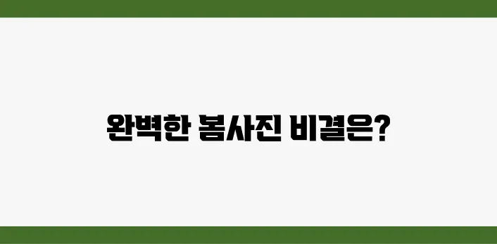 여행 사진 꿀팁 모음, 봄여행에 딱!