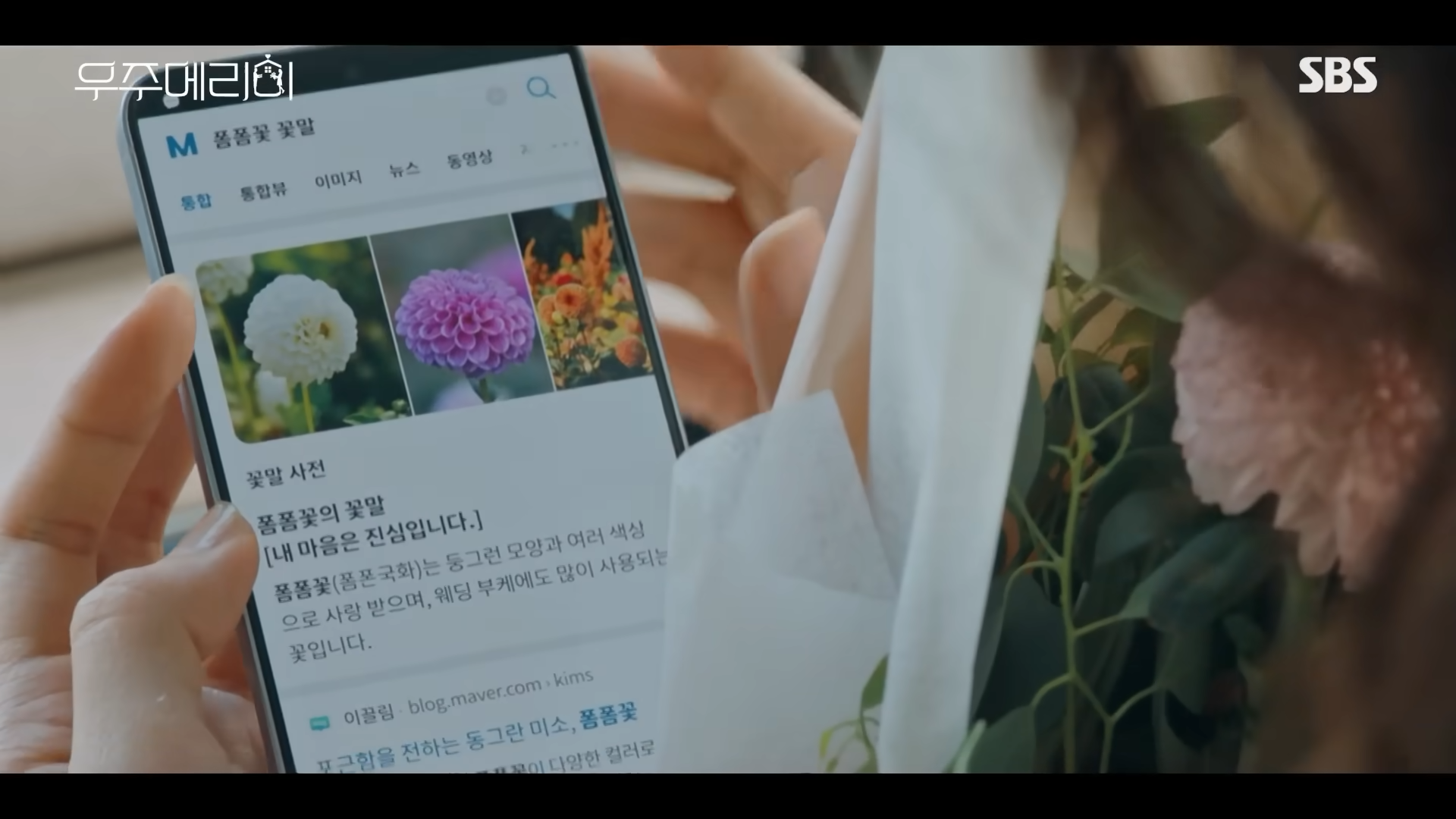 폼폼꽃 꽃말