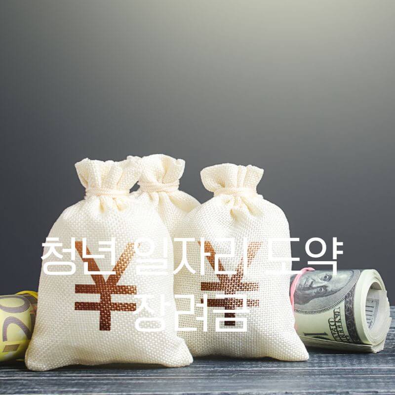 청년 일자리 도약 장려금