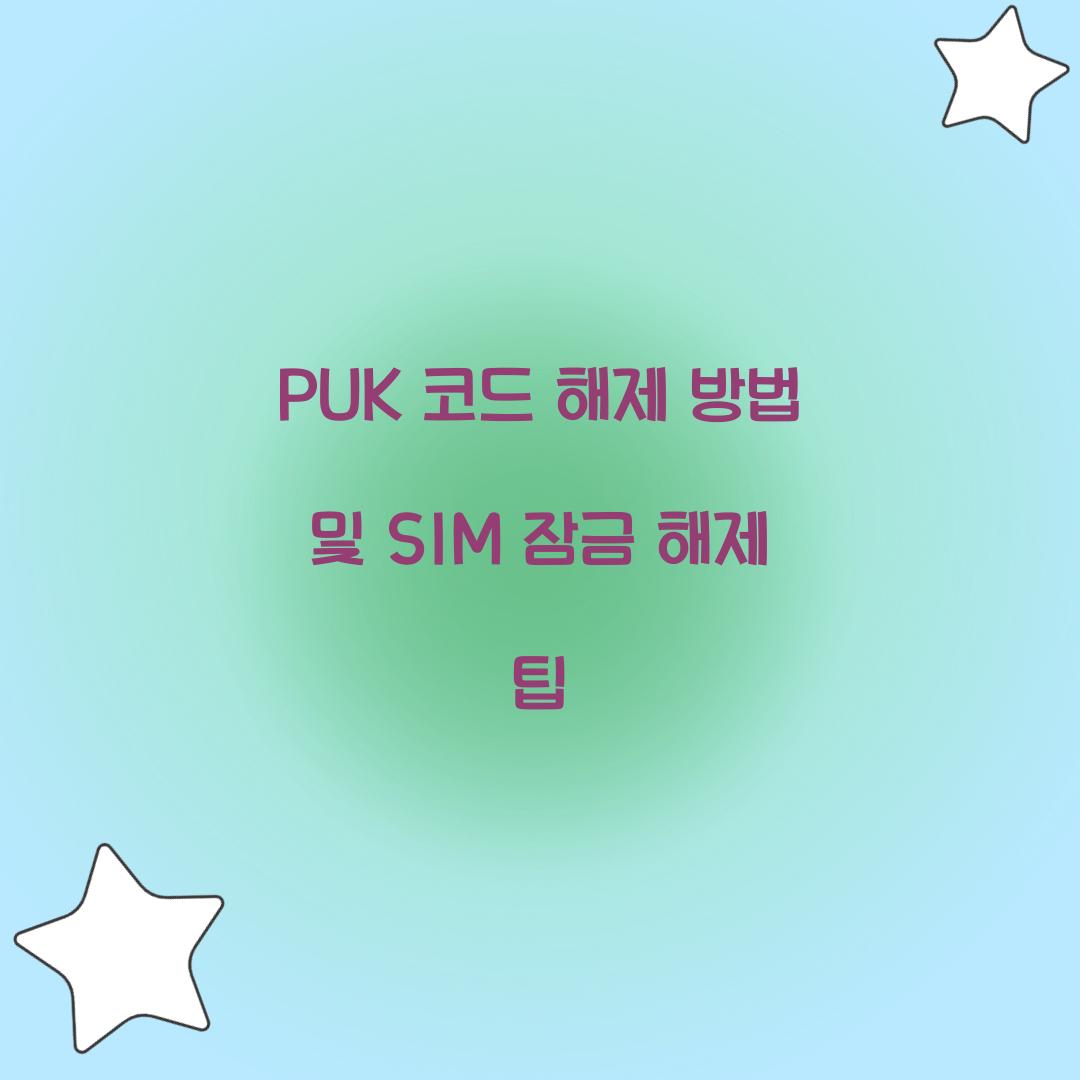PUK 코드 해제 방법