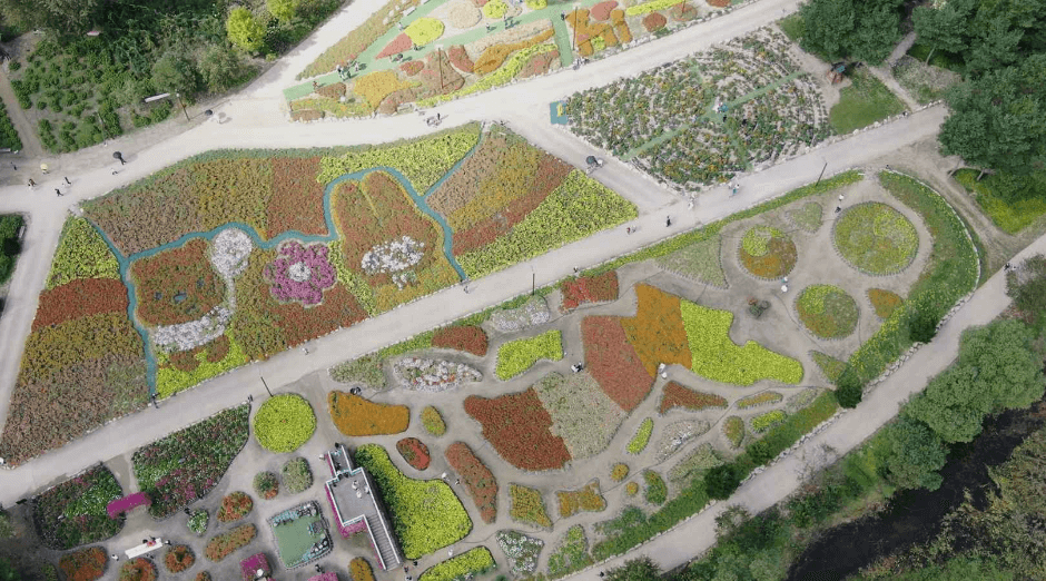 자라섬꽃페스타 2025 일정 및 프로그램, 입장권 구매방법, 주차, 할인혜택 정보