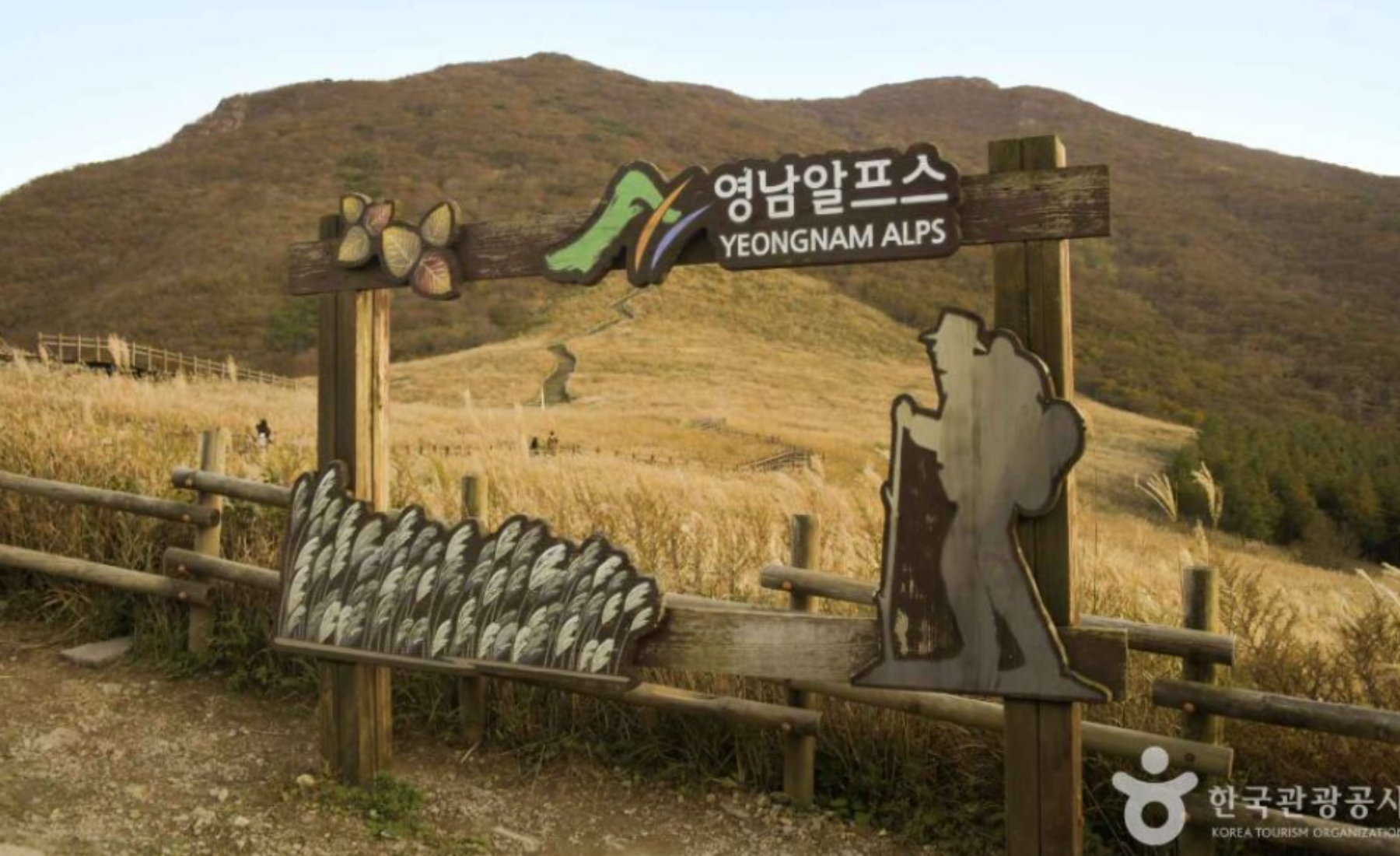 간월재 억새평원 최단코스 2025