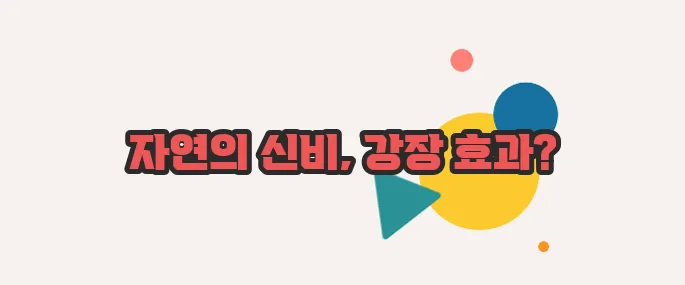 동충하초 효능 살짝 들여다봅시다