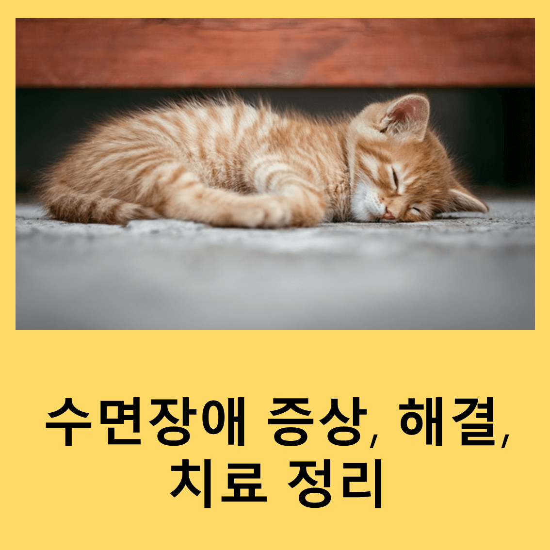 수면장애