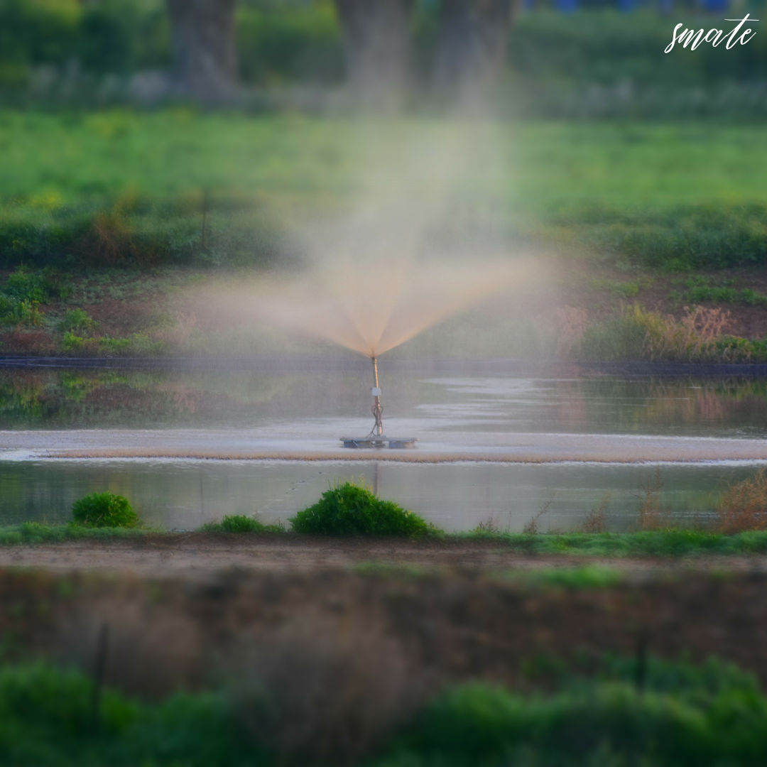 들판 윗부분 작동 중앙 스프링클러 시스템이 배경에 녹지와 농경지 배경으로 안개낀 호 모양으로 물을 뿌리겠습니다.