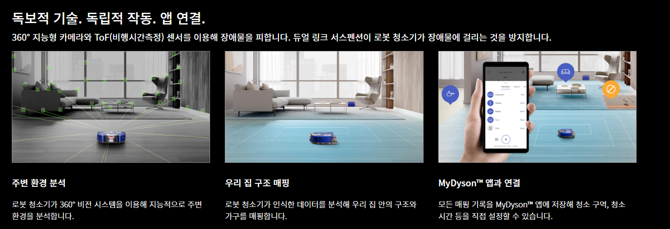 다이슨