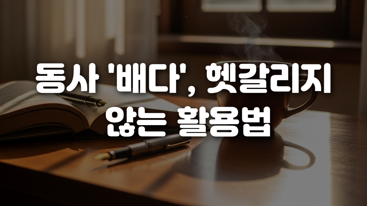 동사 배다 헷갈리지 않는 활용법