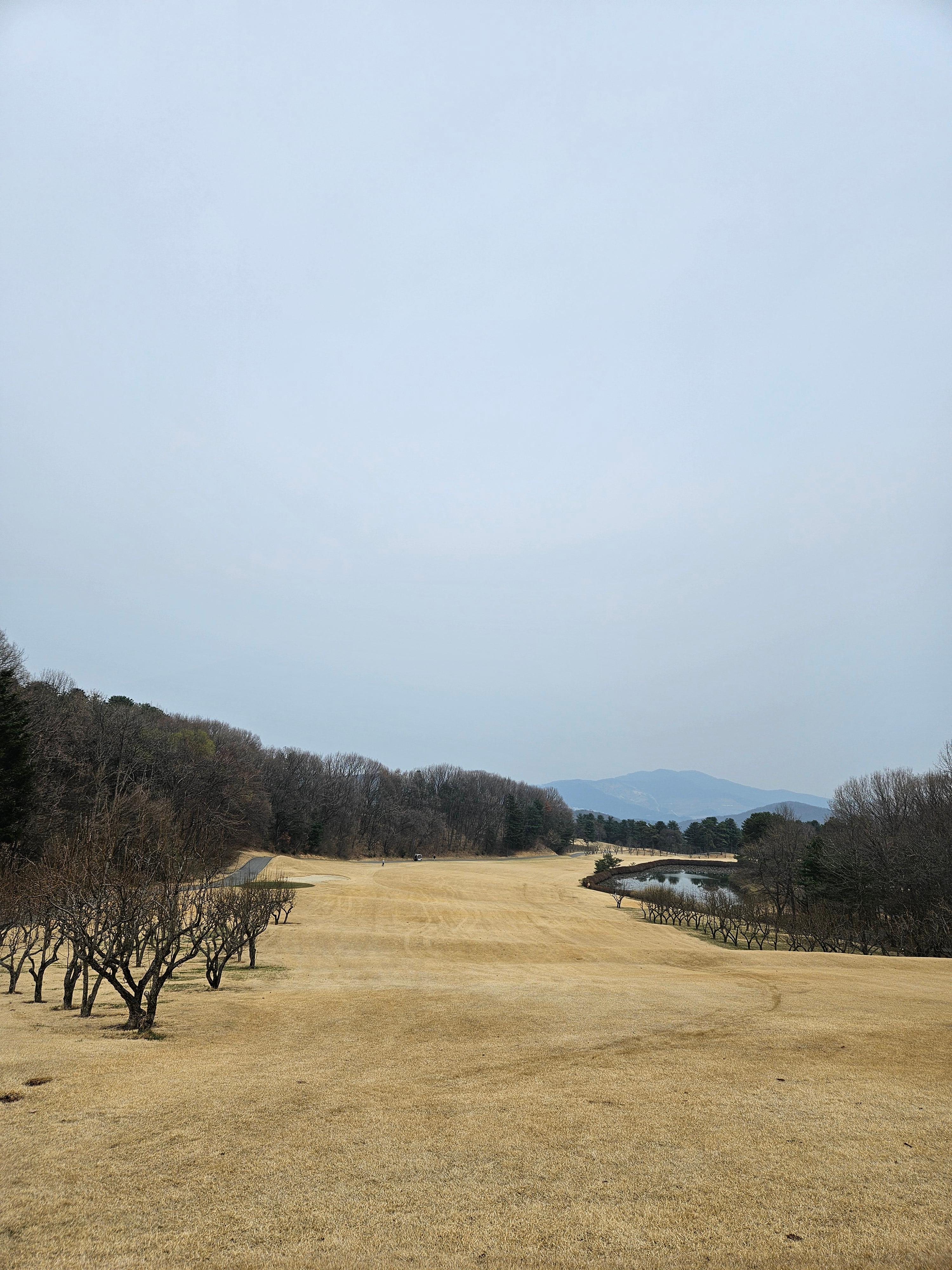 왼쪽으로 배나무가 있는 파5홀