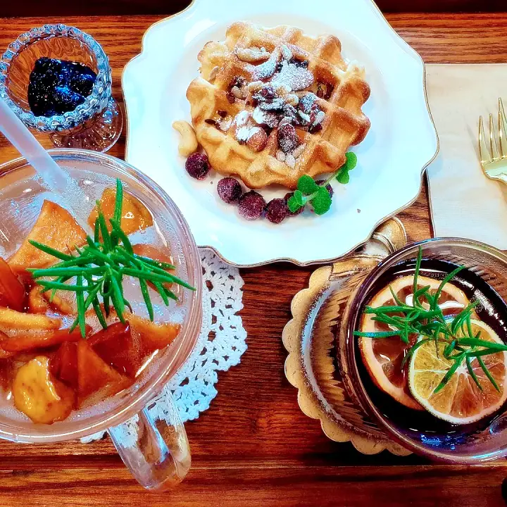 생방송오늘저녁 청주 사슴농장에서 자수공방 뜨개질 손바느질 수제청 핸드드립 카페