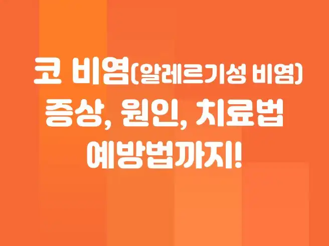 코 비염(알레르기성 비염) 완벽 가이드 &ndash; 증상, 원인, 치료법, 예방법까지!