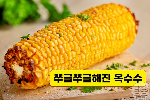초당 옥수수 보관법,옥수수 검은색 검은점,팁줌