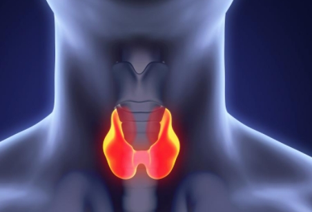 목-갑상선