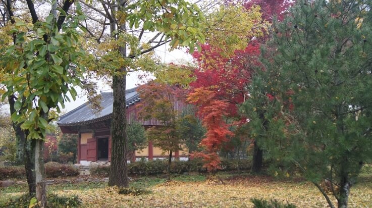 완주 송광사 : 북동으로는 산세가 연이어져 있고, 남서로는 황해 바다까지 평야로 연결된 승지 중의 승지