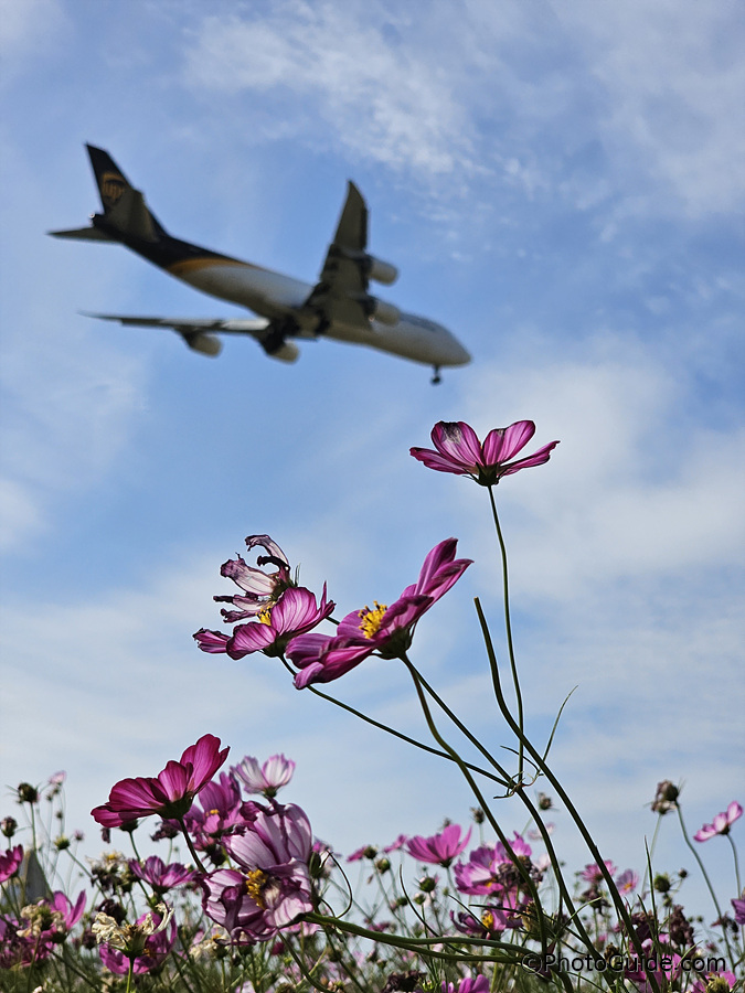 갤럭시-S23-울트라-사진