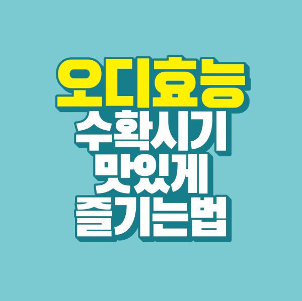 썸네일-오디-효능-수확-시기-맛있게-즐기는-법