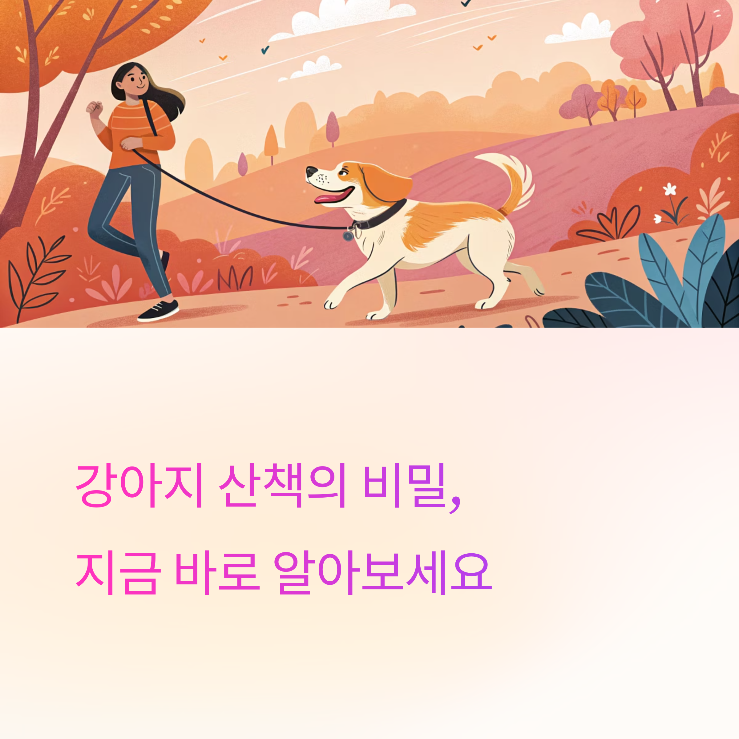 강아지 산책의 비밀