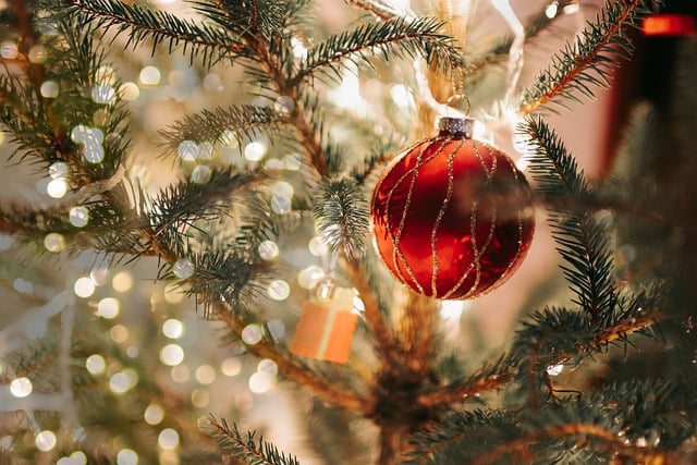 독서 시 조명 선택법 알아보기