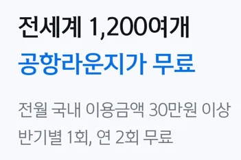 '전세계 1,200여개 공항 라운지가 무료' 문구