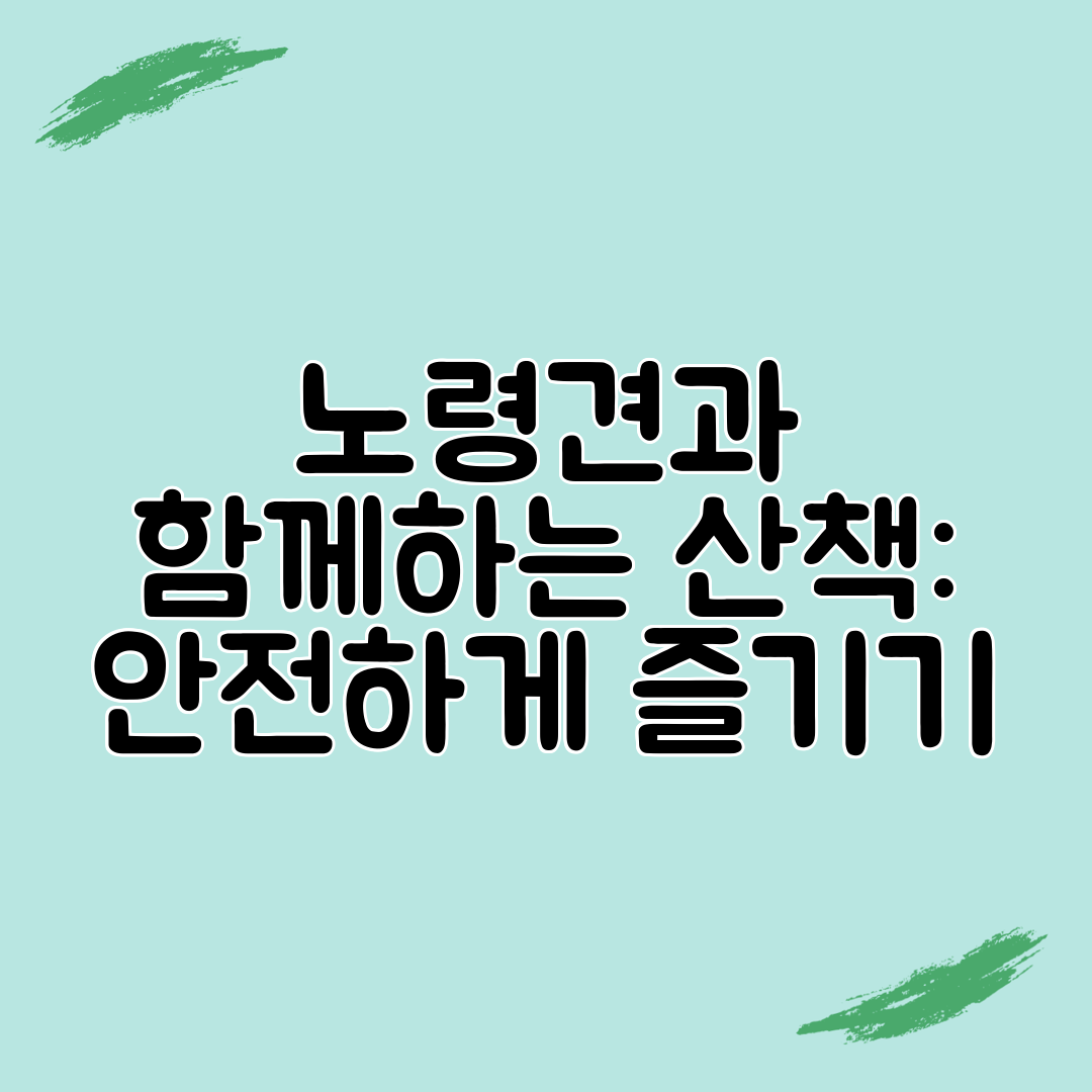 노령견과 함께하는 산책 안전하게 즐기기