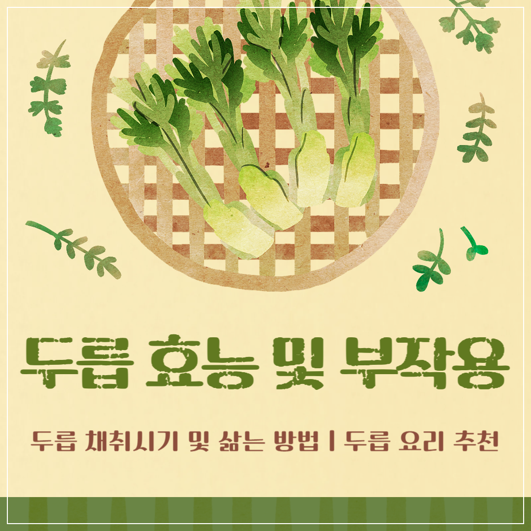 두릅 효능 및 부작용 ❘ 두릅 채취시기 및 삶는 방법 ❘ 두릅 요리 추천 썸네일