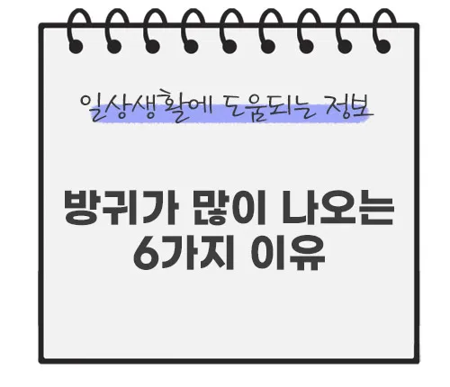 방귀가-많이-나오는-이유