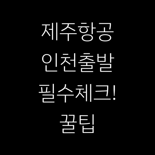 제주항공 인천 제1터미널 출발 전 꼭..