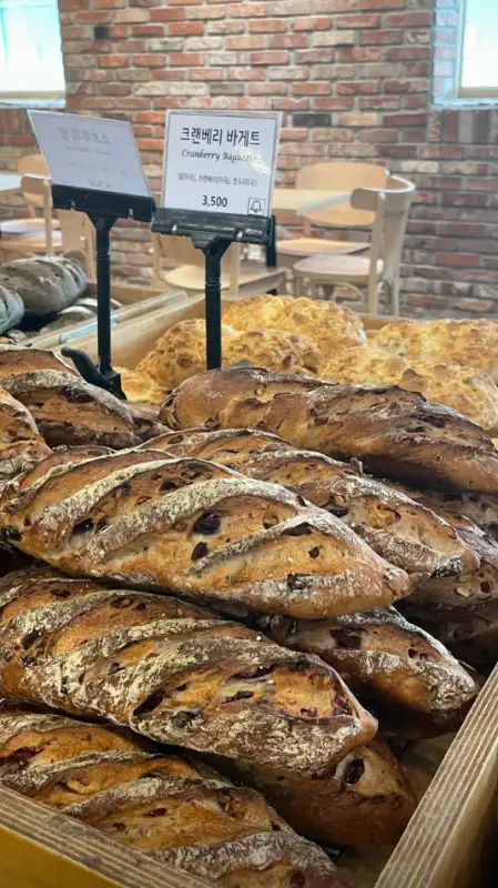 오월의종-타임스퀘어점-크렌베리바게트