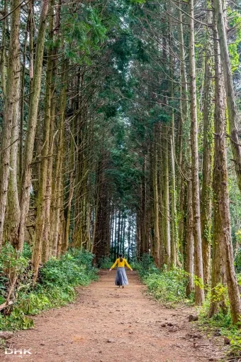 걷기 좋은 명품 숲길 50선 전국 서울 경기_11