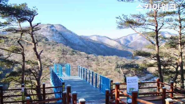 소금산 스카이워크