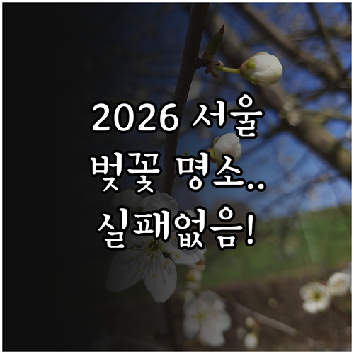 2026 서울 벚꽃 개화 시기 및 실..