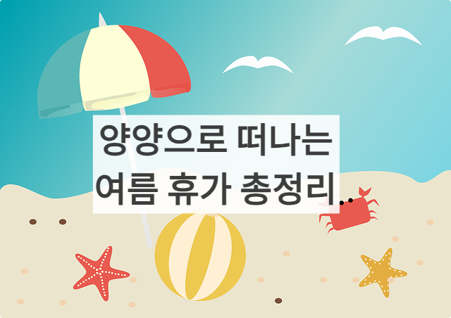 2025년 양양 여행 총정리 썸네일 사진