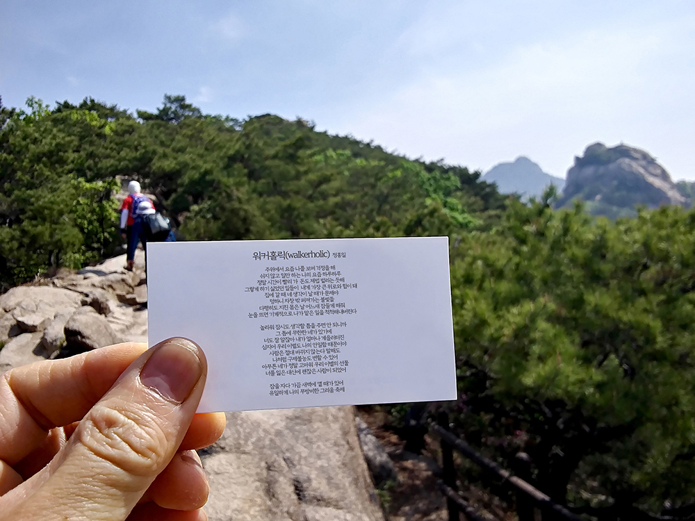 워커홀릭(walkerholic)