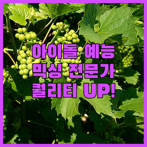 아이돌 예능 믹싱 전문가의 손길로 영