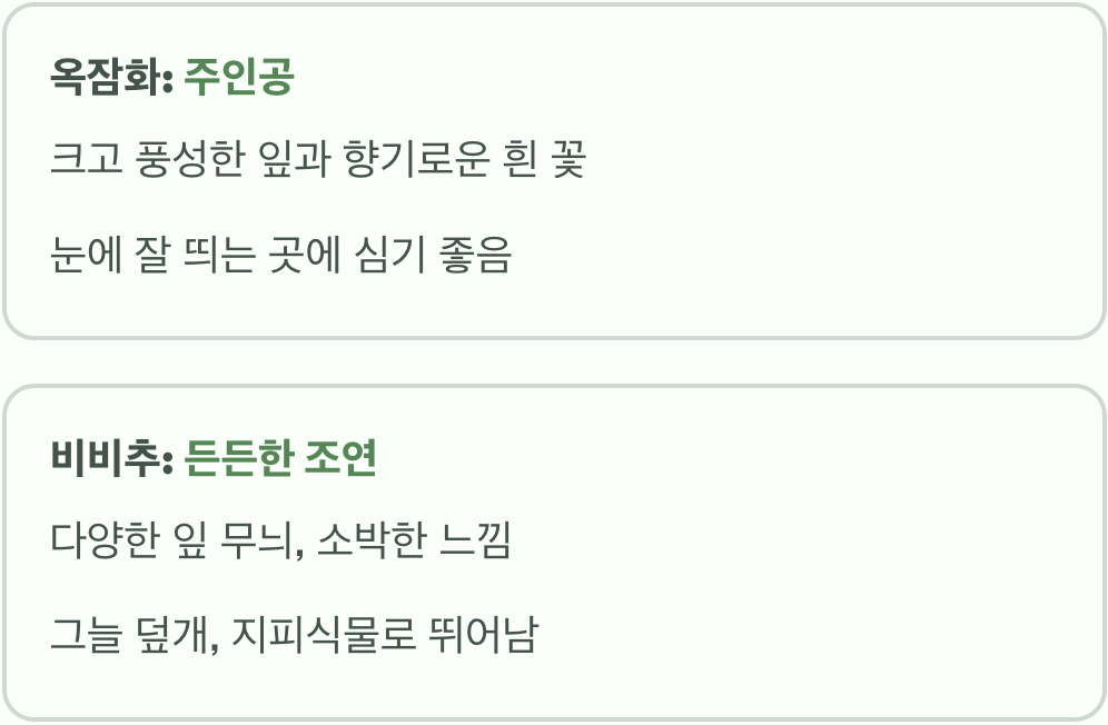 정원의 주인공 vs 든든한 조연