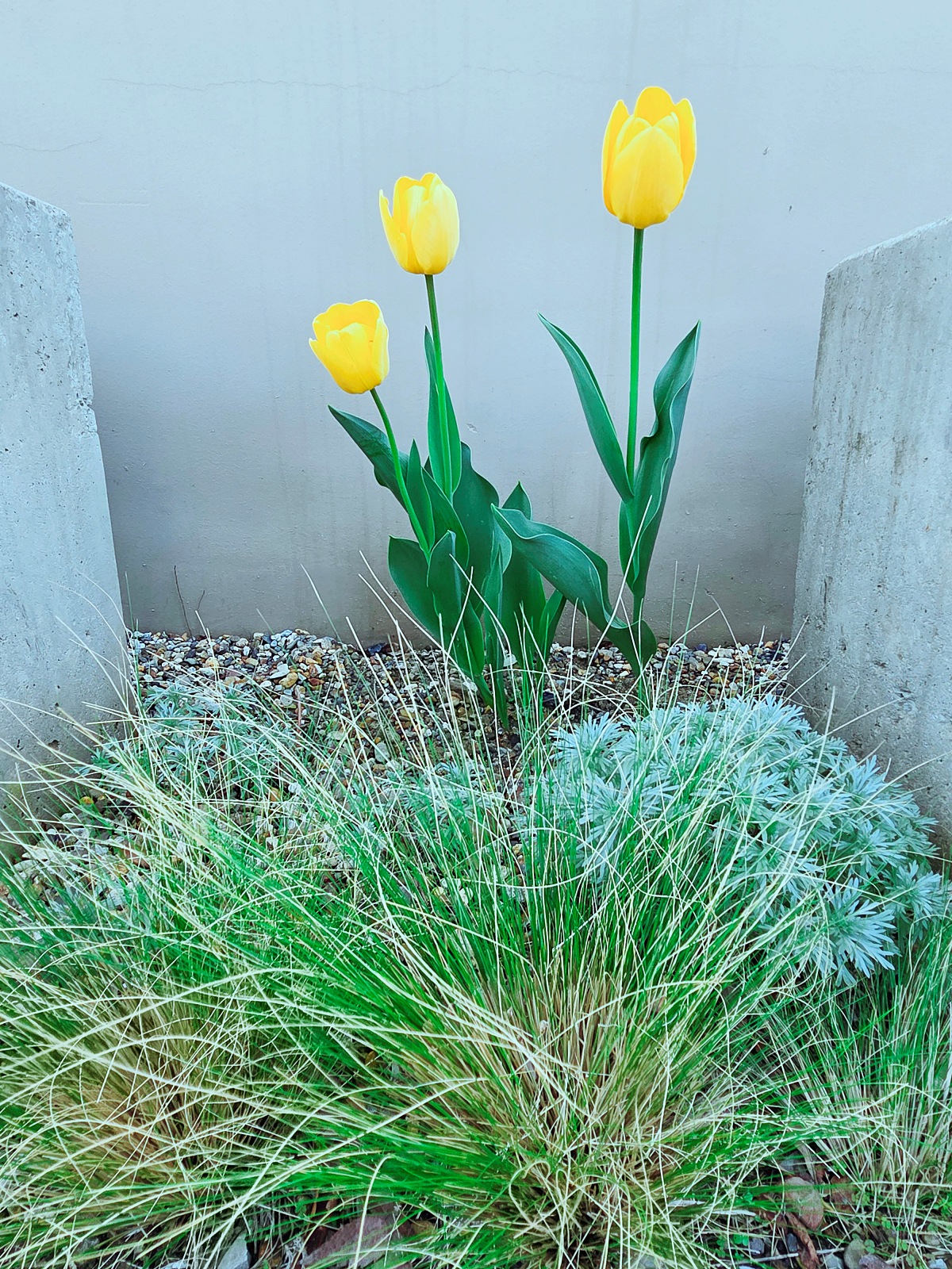 인천 검단 감성 브런치 카페 온안: 모던하고 따스한 분위기 맛집