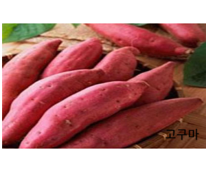 고구마